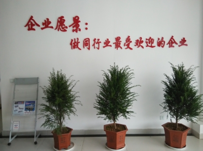 公司实景