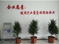 公司实景